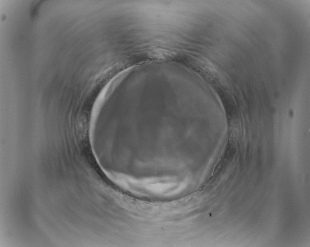 X0000088400043200706121246