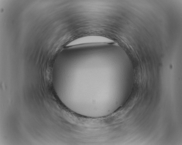 X0000088400044200706121246