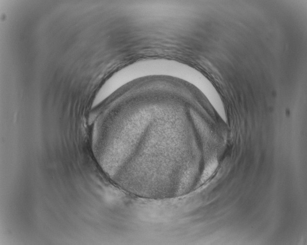 X0000088400045200706121246