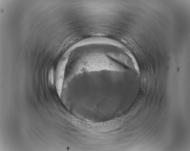 X0000088400046200706121246