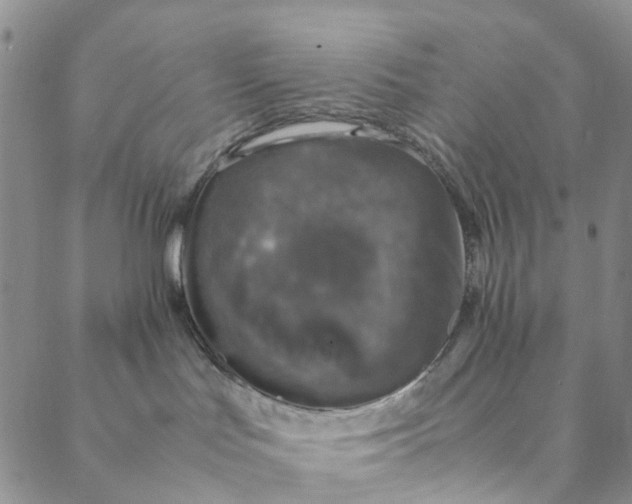 X0000088400047200706121246