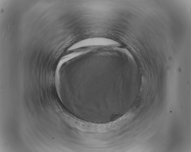 X0000088400048200706121246