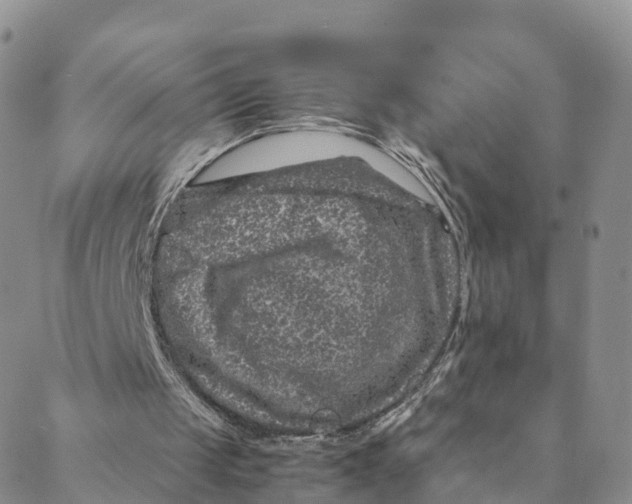 X0000088400049200706121245