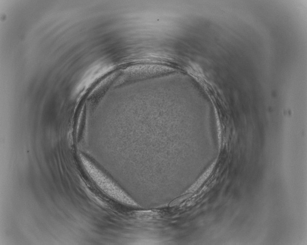 X0000088400050200706121245