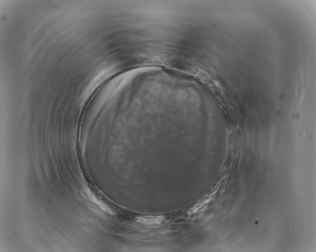 X0000088400051200706121245