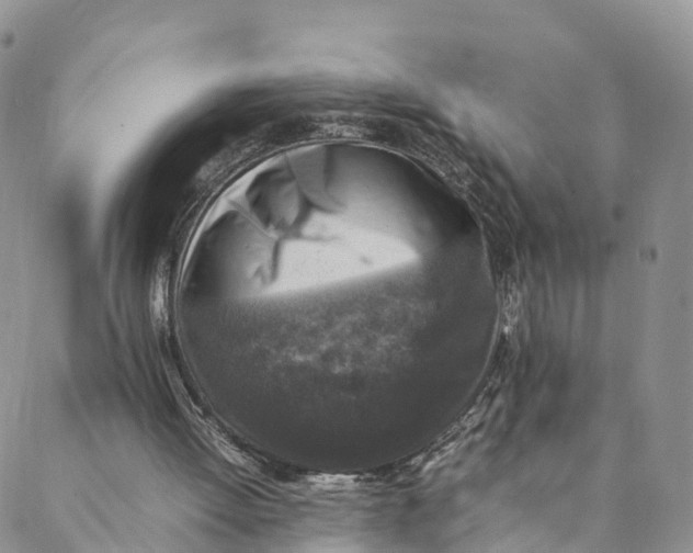 X0000088400052200706121245