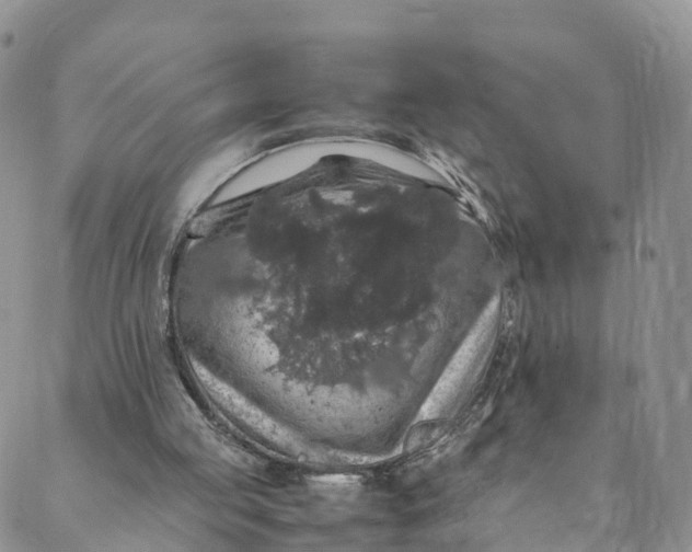 X0000088400053200706121245