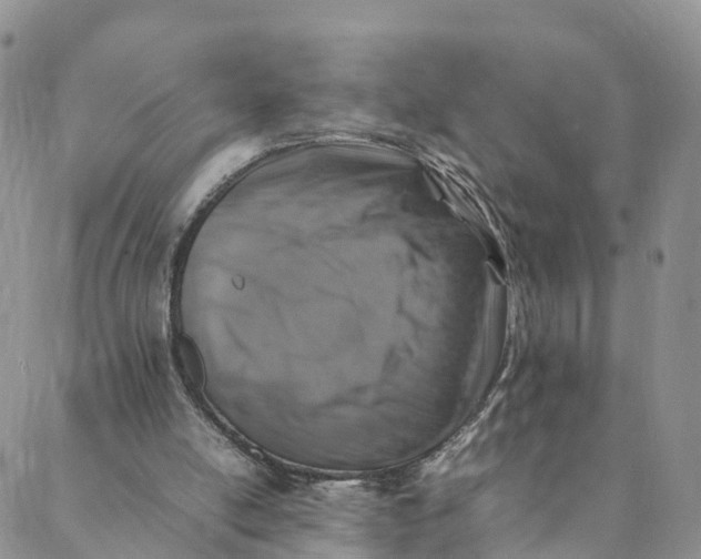 X0000088400054200706121245