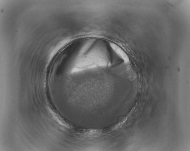 X0000088400056200706121245