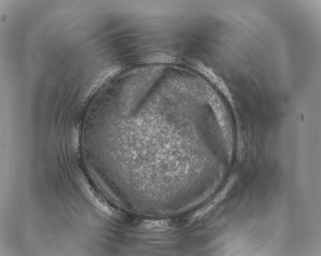 X0000088400057200706121245