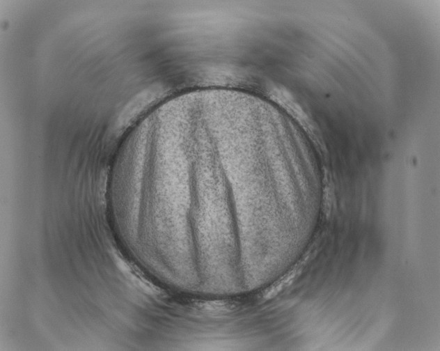 X0000088400058200706121245