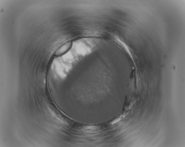 X0000088400059200706121245