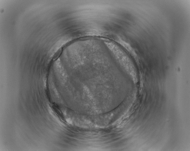 X0000088400060200706121245