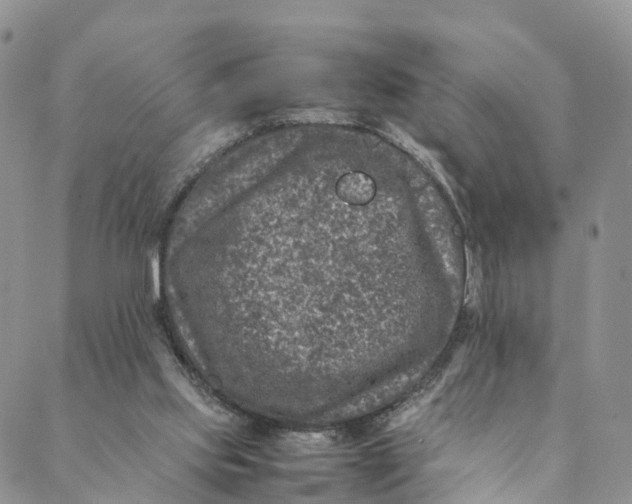 X0000088400061200706121245