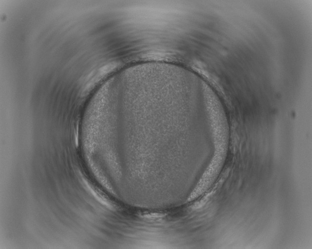 X0000088400062200706121245