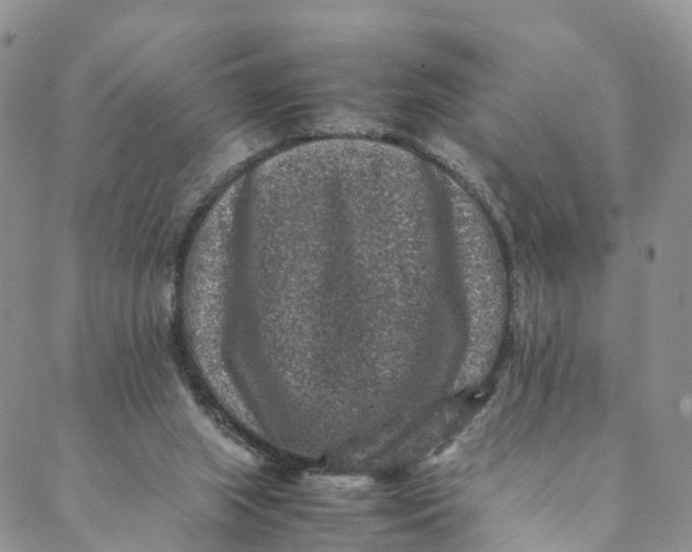 X0000088400063200706121245