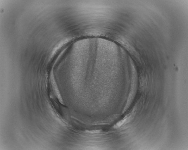 X0000088400064200706121245