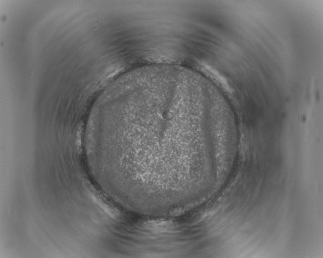 X0000088400065200706121245