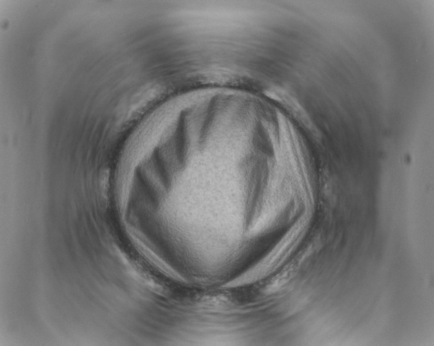 X0000088400066200706121245