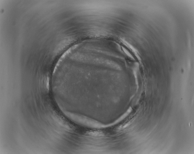 X0000088400067200706121245