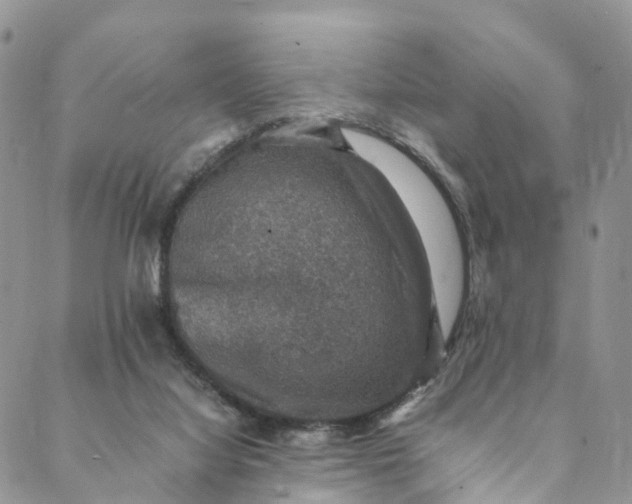 X0000088400068200706121245