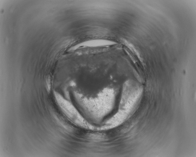 X0000088400069200706121245