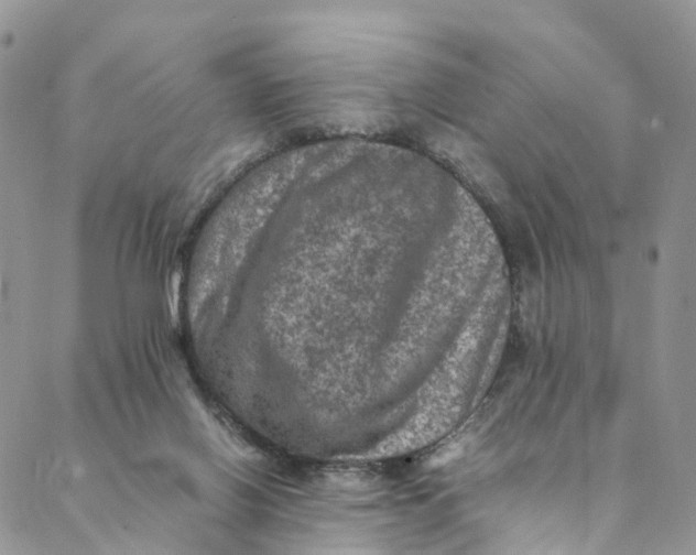 X0000088400070200706121245