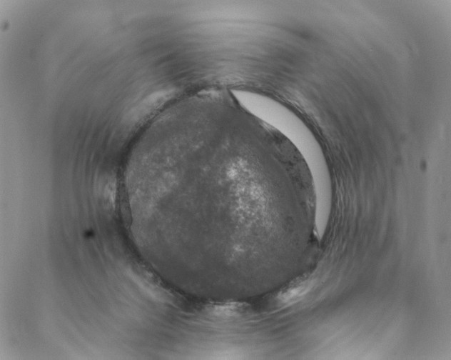 X0000088400072200706121245