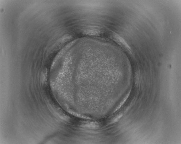 X0000088400073200706121245