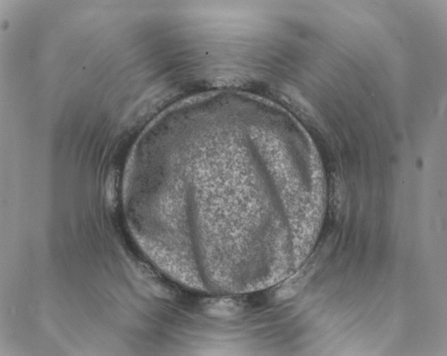 X0000088400074200706121245