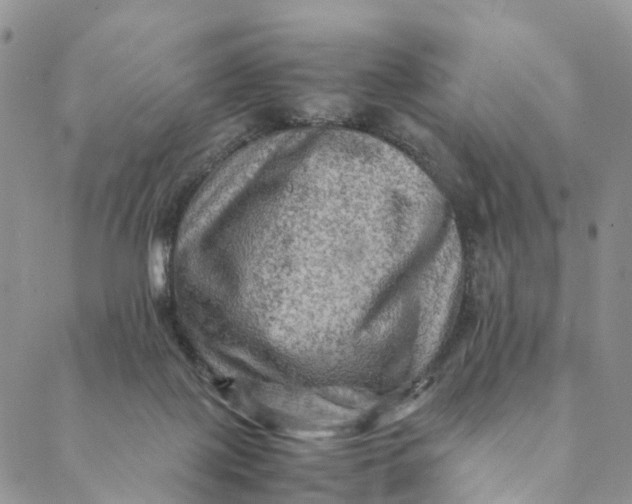 X0000088400075200706121245