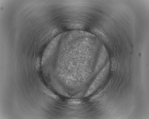 X0000088400077200706121245