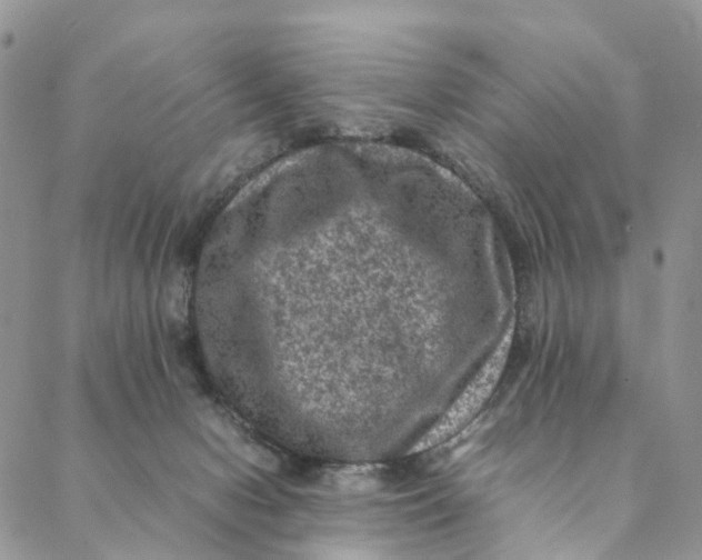 X0000088400078200706121245