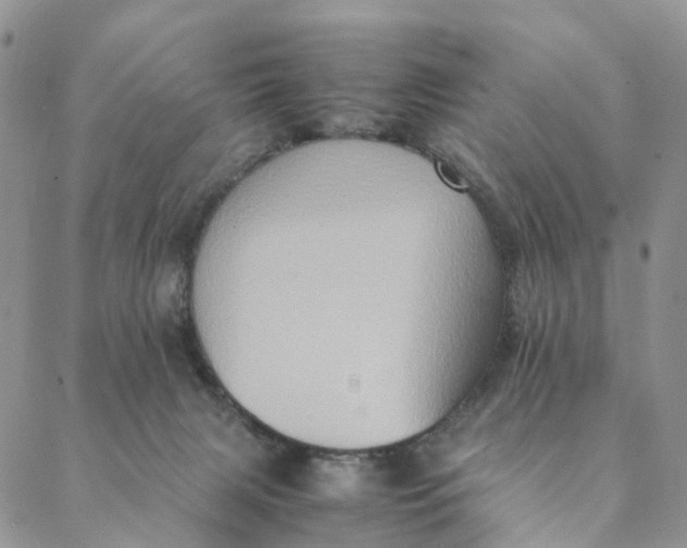 X0000088400079200706121245