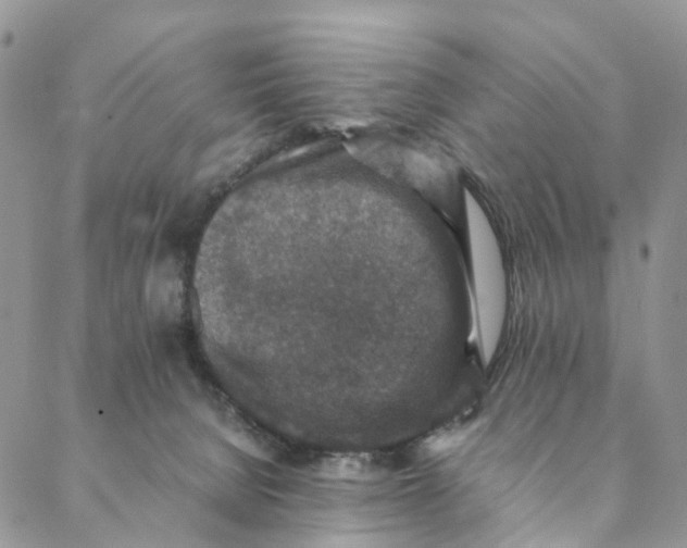 X0000088400080200706121245