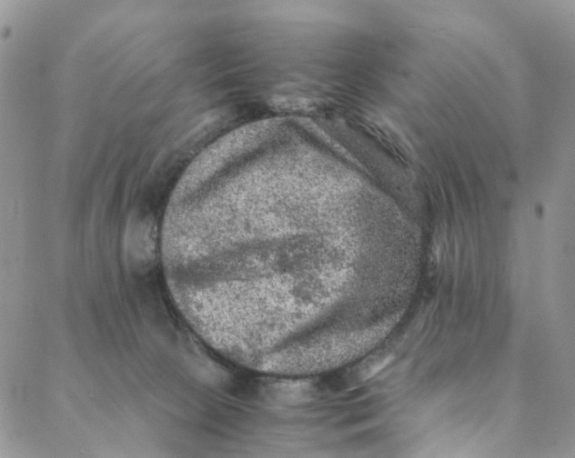 X0000088400081200706121245