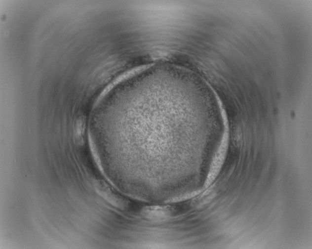 X0000088400082200706121245