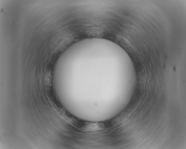 X0000088400083200706121245