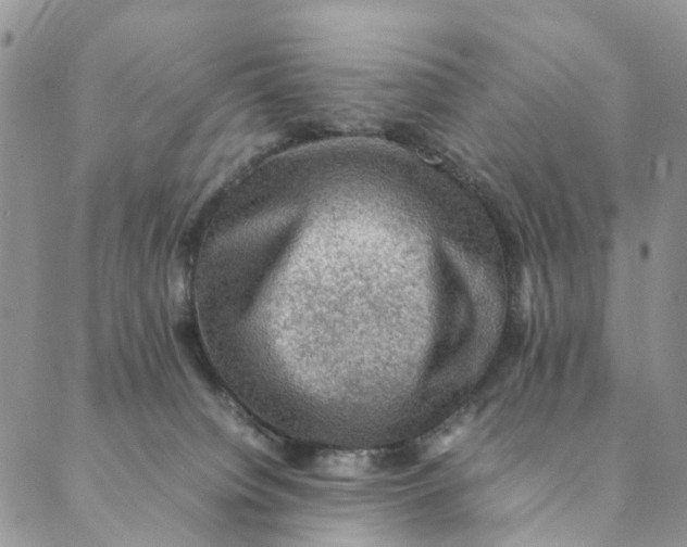 X0000088400084200706121245