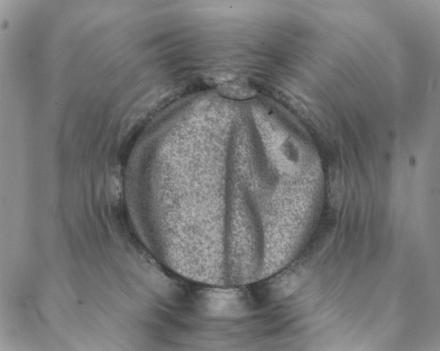 X0000088400085200706121245