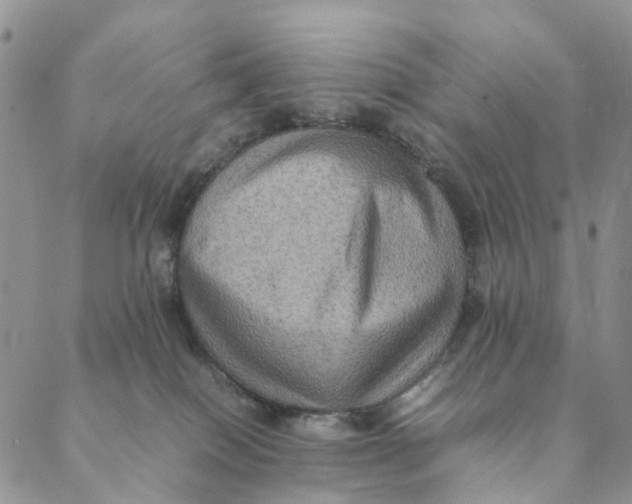 X0000088400086200706121245