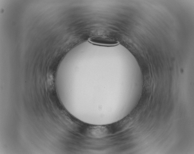 X0000088400087200706121246