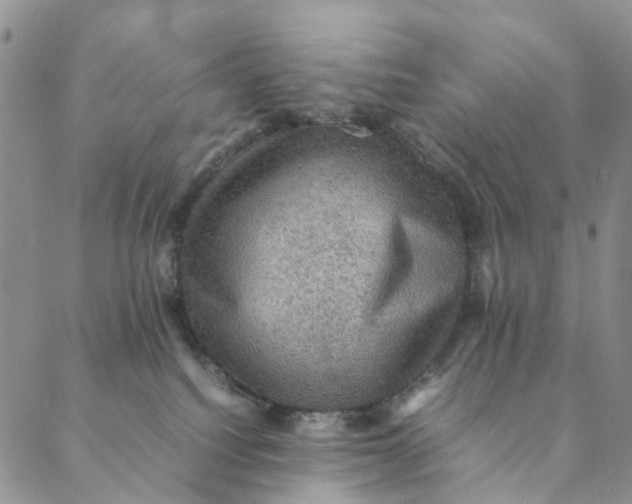 X0000088400088200706121246