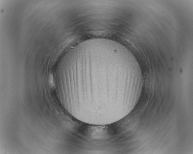 X0000088400089200706121246