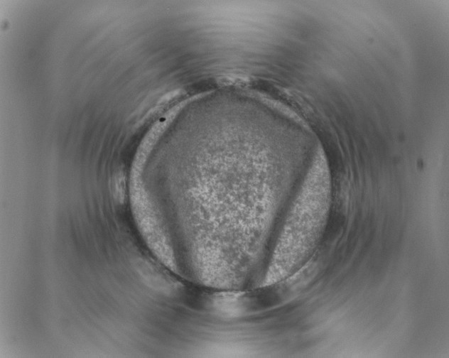 X0000088400090200706121246