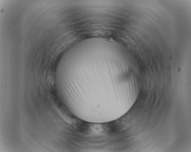 X0000088400091200706121246