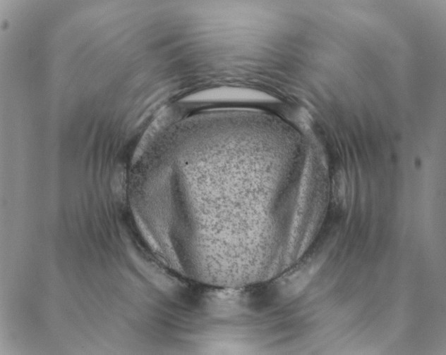 X0000088400092200706121246