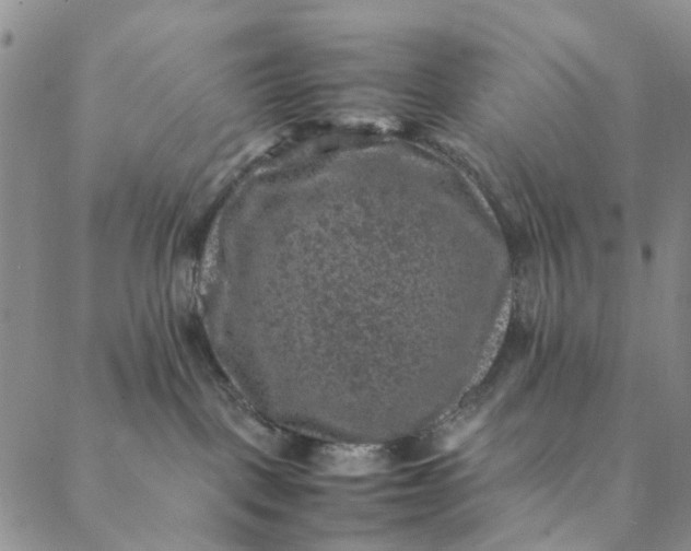 X0000088400093200706121246