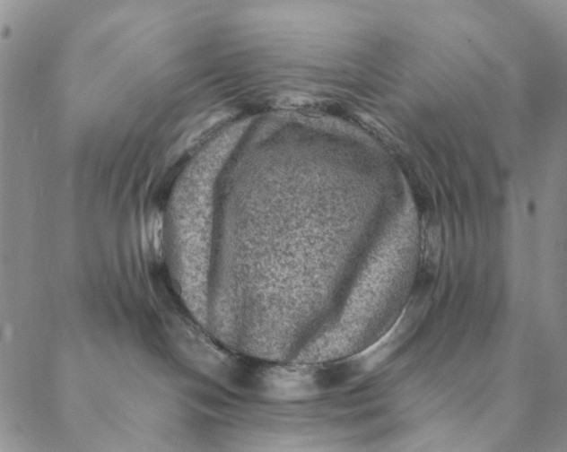 X0000088400094200706121246