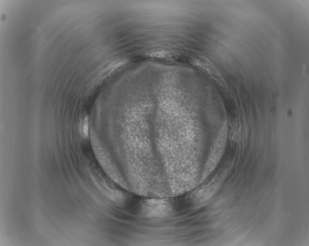 X0000088400095200706121246